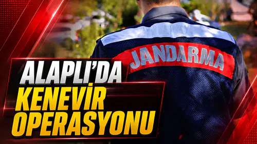 ALAPLI’DA KENEVİR OPERASYONU: