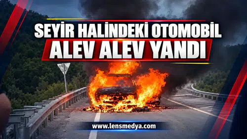 Seyir halindeki otomobil alev alev yandı