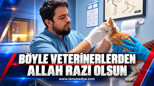 BÖYLE VETERİNERLERDEN ALLAH RAZI OLSUN