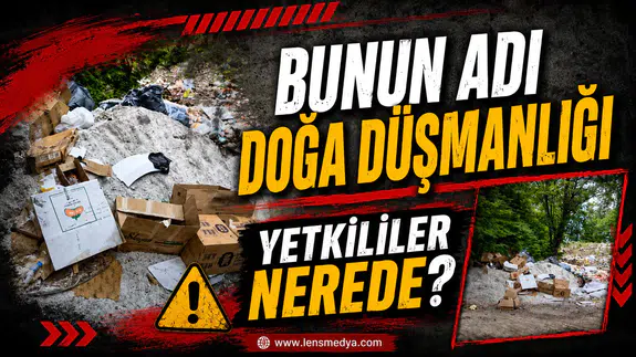 Bunun adı doğa düşmanlığı... Yetkililer nerede?