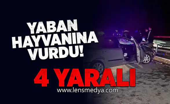 Yaban hayvanına vurdu! 4Yaralı!