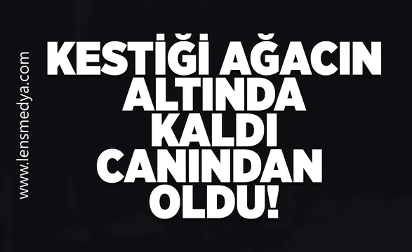 Kestiği ağacın altında kaldı canından oldu!