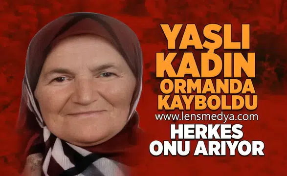 Yaşlı kadın ormanda kayboldu!