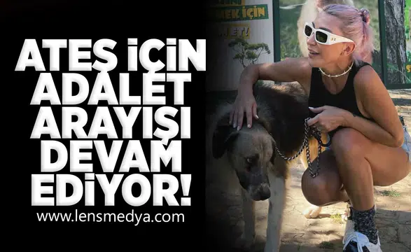 Ateş için adalet arayışı devam ediyor!