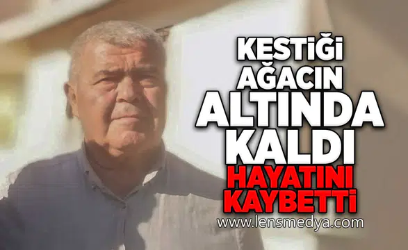 Kestiği ağacın altında kaldı... Hayatını kaybetti!