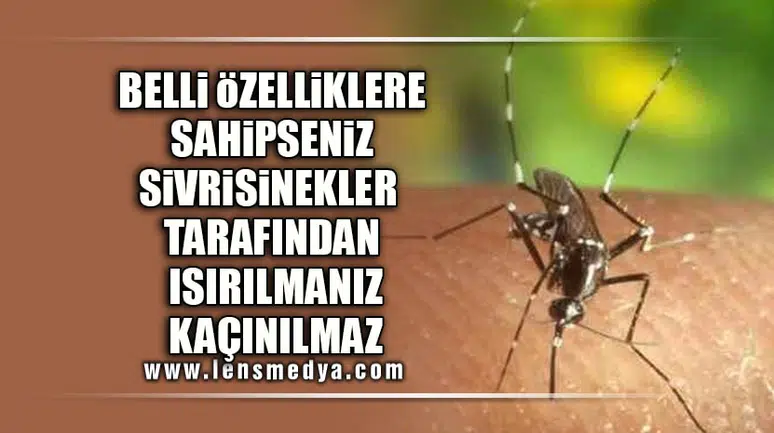 BELLİ ÖZELLİKLERE SAHİPSENİZ SİVRİSİNEKLER TARAFINDAN ISIRLMANIZ KAÇINILMAZ