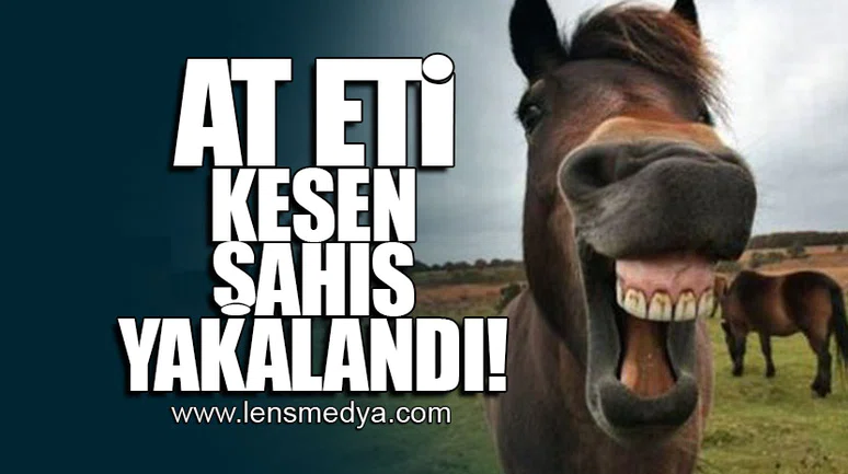 AT ETİ KESEN ŞAHIS YAKALANDI!