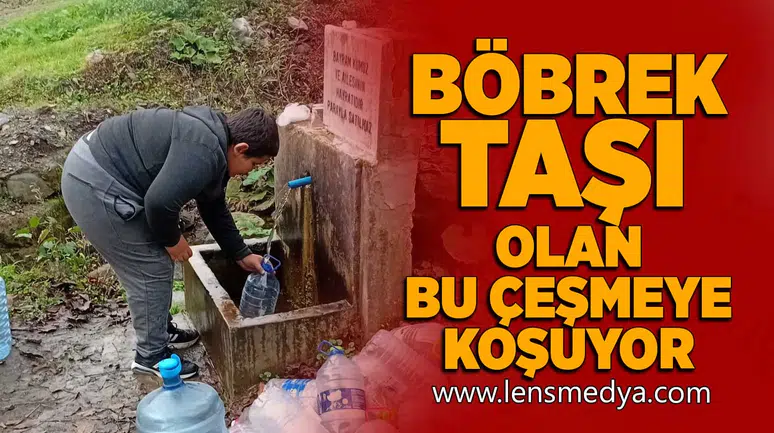 Böbrek taşı olan bu çeşmeye koşuyor!