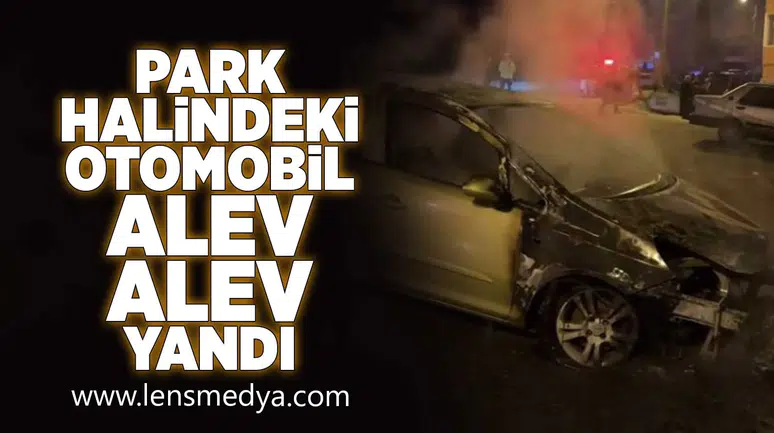 Park halindeki araç alev alev yandı!