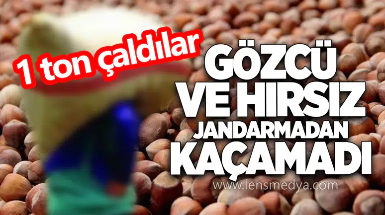 Gözcü ve hırsız jandarmadan kaçamadı