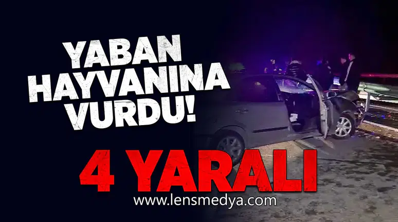 Yaban hayvanına vurdu! 4Yaralı!