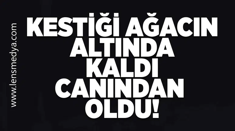 Kestiği ağacın altında kaldı canından oldu!