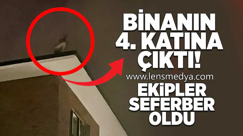 Binanın 4. katına çıktı: Ekipler seferber oldu!