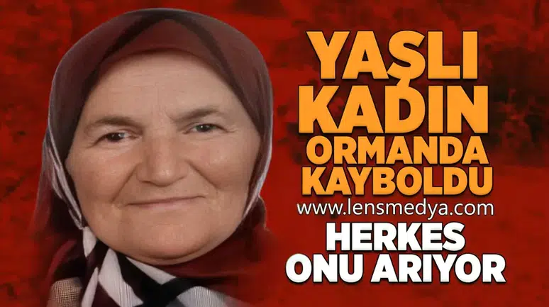 Yaşlı kadın ormanda kayboldu!