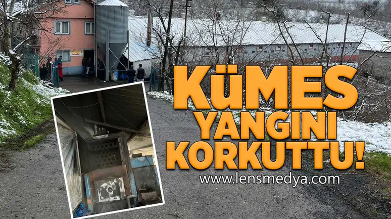 Kümes yangını korkuttu!