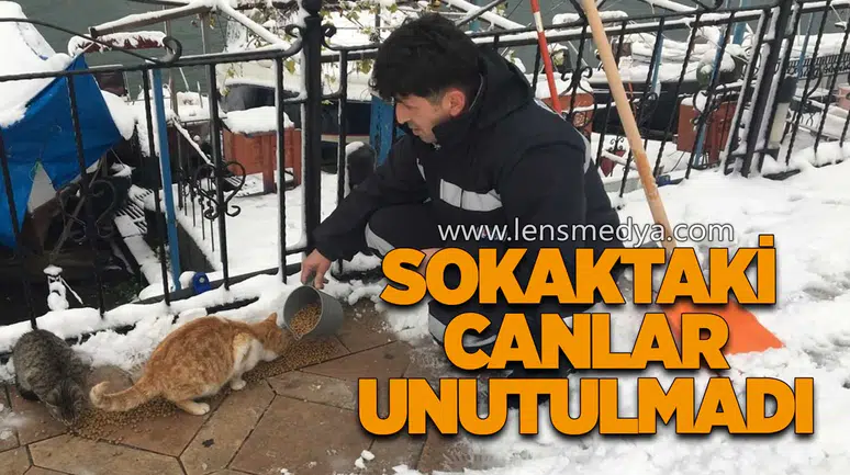 SOKAKTAKİ CANLAR UNUTULMADI