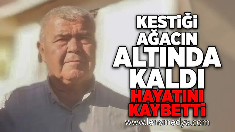 Kestiği ağacın altında kaldı... Hayatını kaybetti!
