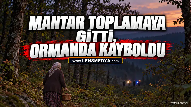 MANTAR TOPLAMAYA GİTTİ, ORMANDA KAYBOLDU