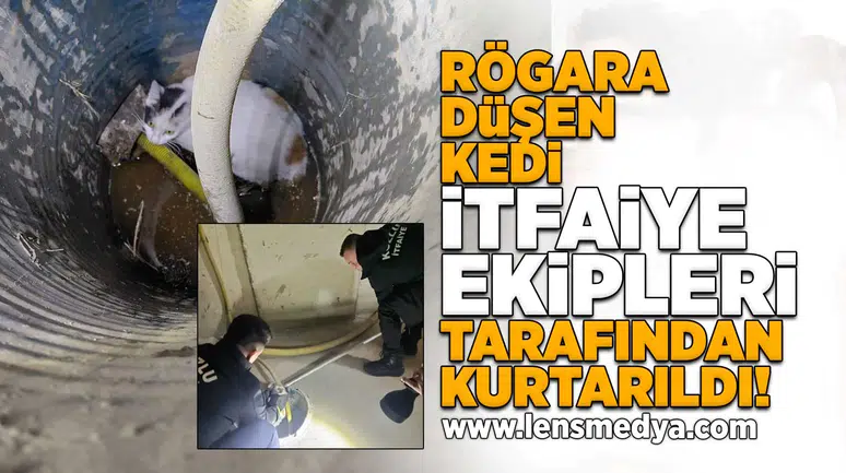 Rögara düşen kedi kurtarıldı!