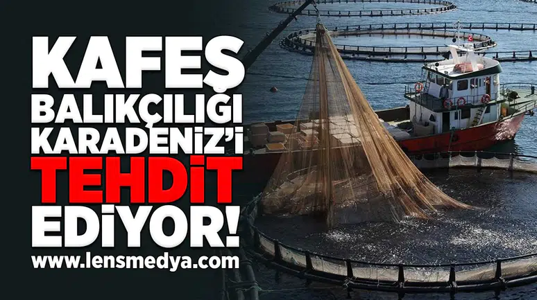 Kafer Balıkçılığı Karadeniz'i tehdit ediyor!