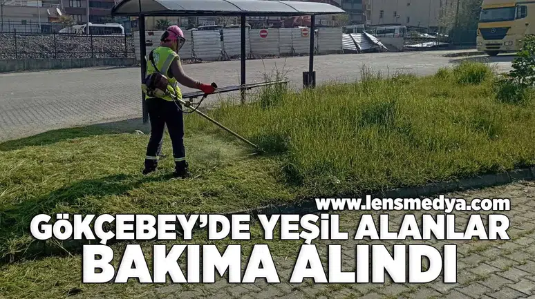 Gökçebey'de yeşil alanlar bakıma alındı