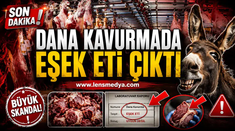 Dana kavurmada eşek eti çıktı!