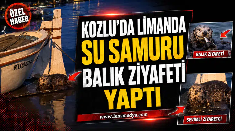 Su samuru limanda balık ziyafeti yaptı!
