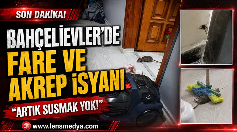 BAHÇELİEVLER’DE FARE VE AKREP İSYANI: “ARTIK SUSMAK YOK!”