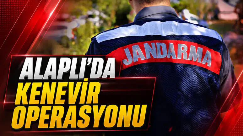 ALAPLI’DA KENEVİR OPERASYONU: