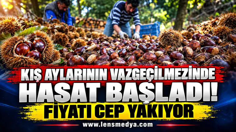 KESTANE HASADI BAŞLADI FİYATI CEP YAKIYOR