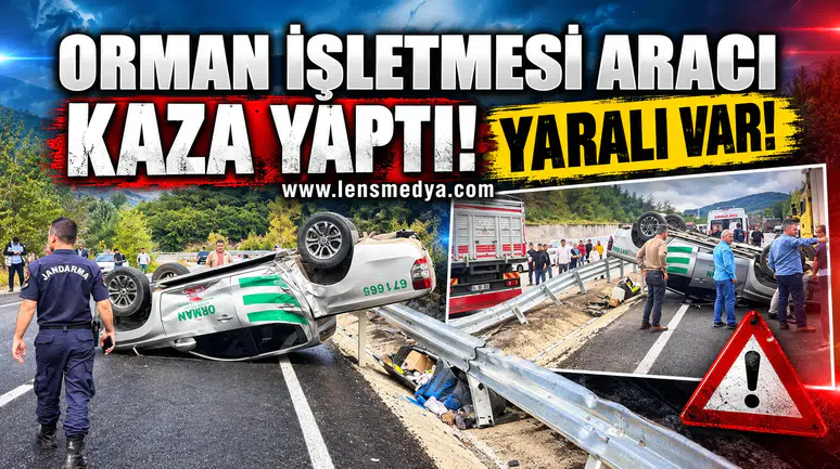 Orman İşletme aracı kaza yaptı!
