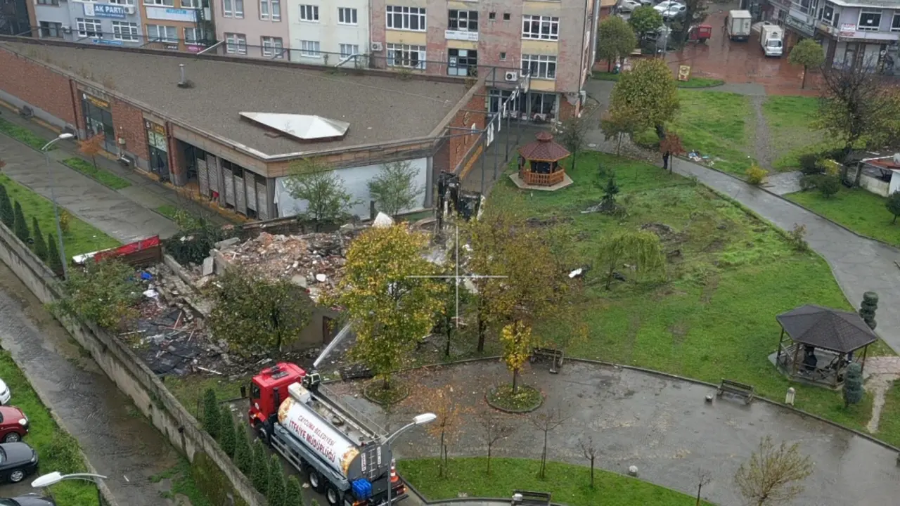 çim görseli olabilir