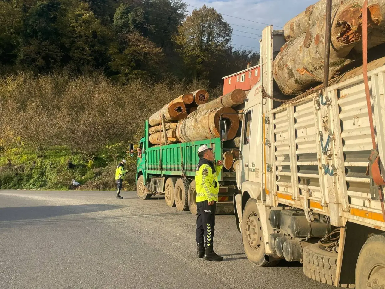 kereste deposu görseli olabilir