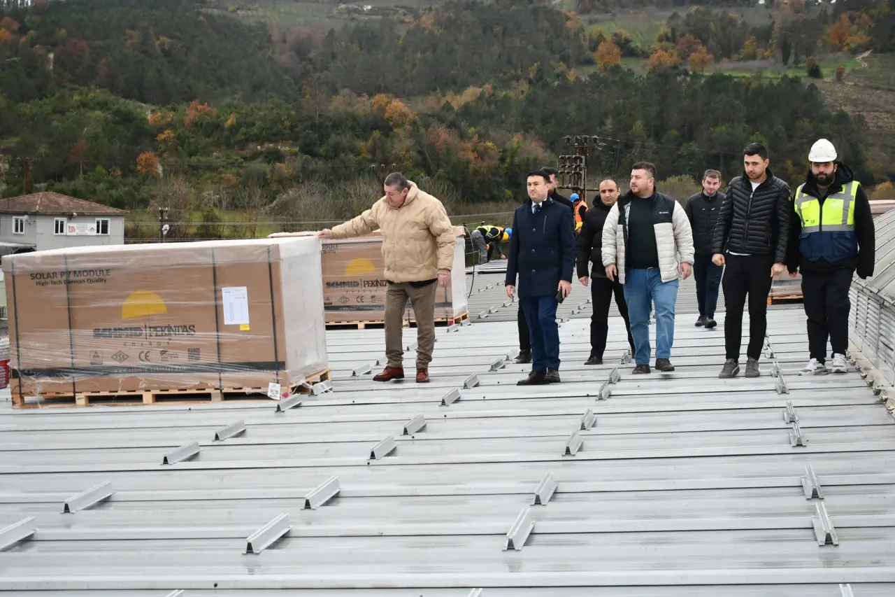 kereste deposu ve yazı görseli olabilir