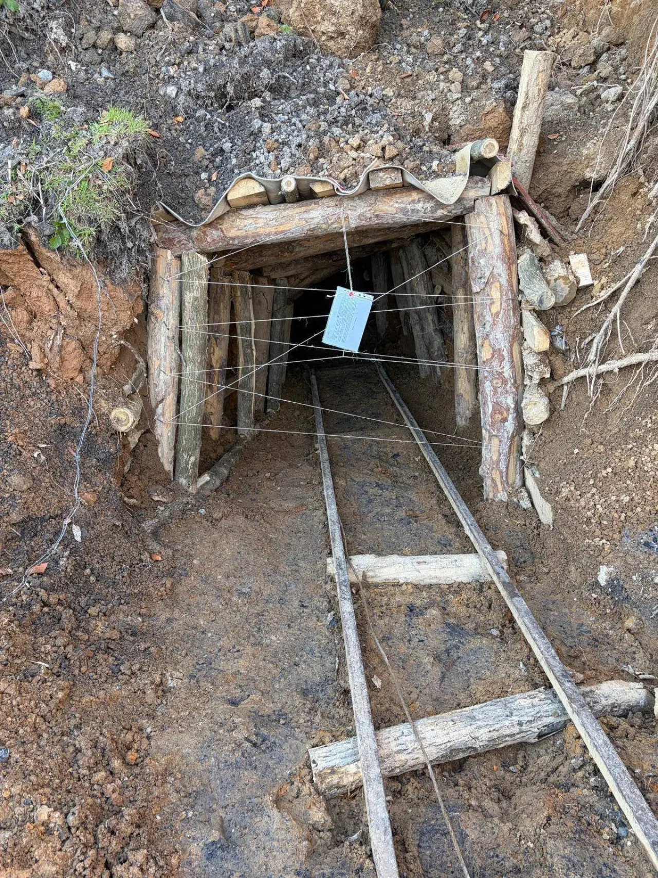 Fotoğraf açıklaması yok.