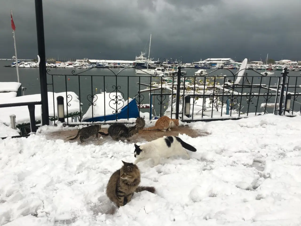 Fotoğraf açıklaması yok.