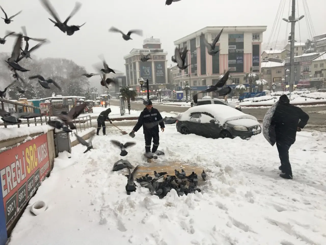 kuş görseli olabilir