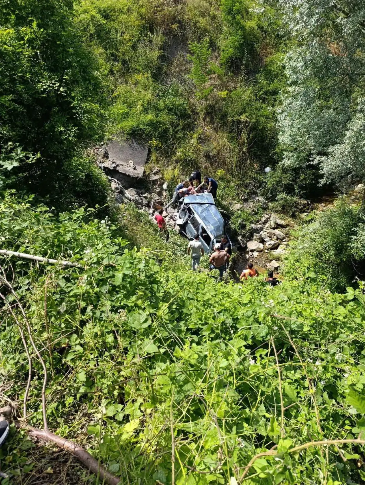 tırmanış ve ağaç görseli olabilir