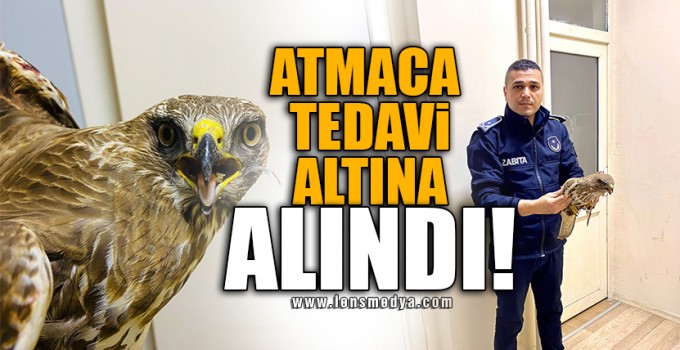 ATMACA TEDAVİ ALTINA ALINDI!