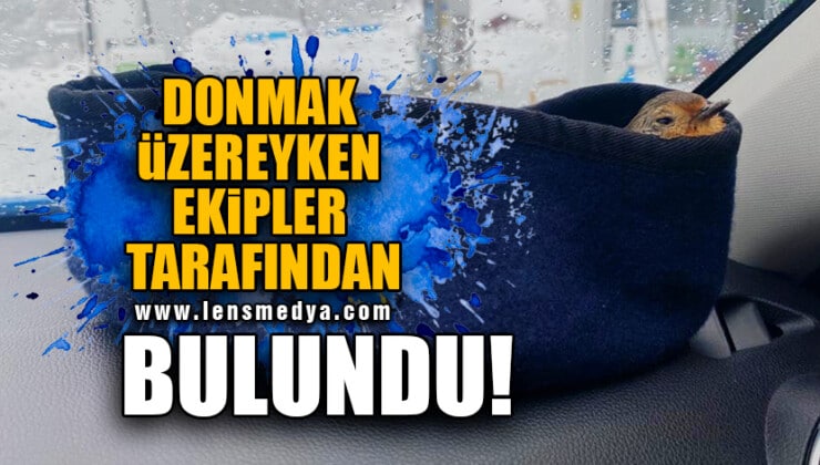 DONMAK ÜZEREYKEN EKİPLER TARAFINDAN BULUNDU!