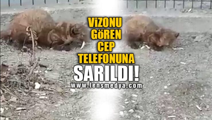 VİZONU GÖREN CEP TELEFONUNA SARILDI!