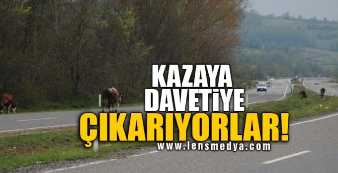 KAZAYA DAVETİYE ÇIKARIYORLAR!