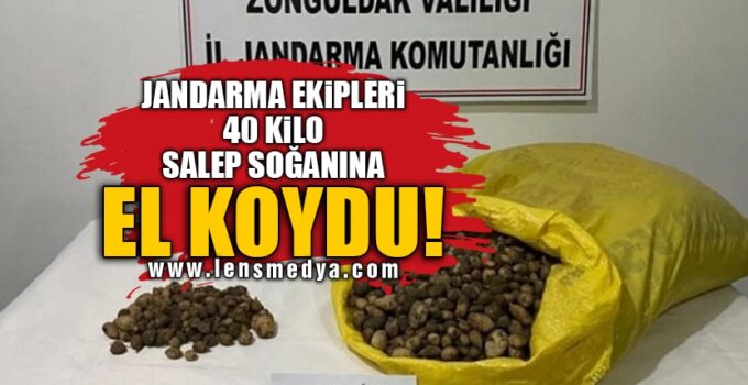 JANDARMA EKİPLERİ 40 KİLO SALEP SOĞANINA EL KOYDU!