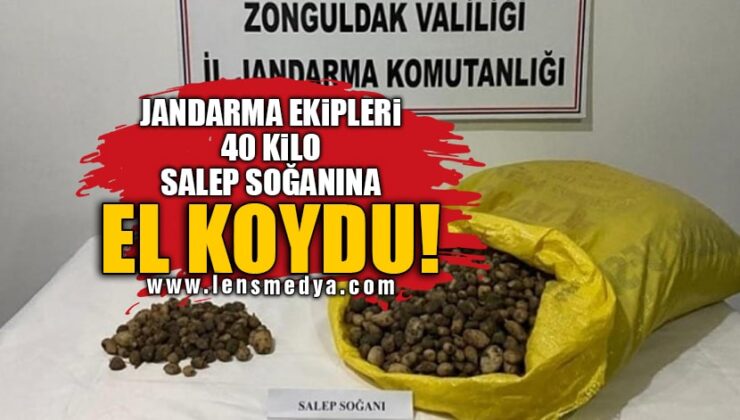 JANDARMA EKİPLERİ 40 KİLO SALEP SOĞANINA EL KOYDU!