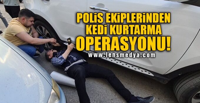 POLİS EKİPLERİNDEN KEDİ KURTARMA OPERASYONU!