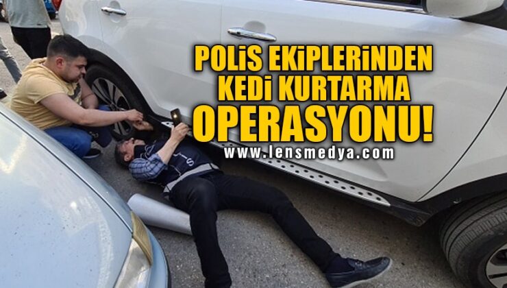 POLİS EKİPLERİNDEN KEDİ KURTARMA OPERASYONU!