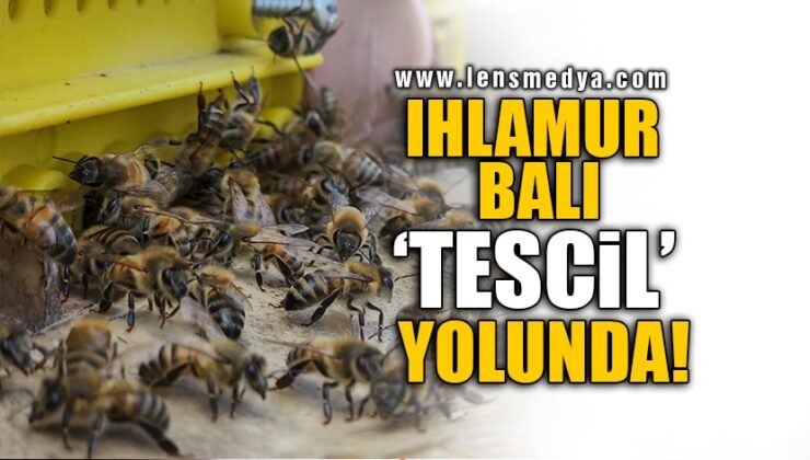 IHLAMUR BALI ‘TESCİL’ YOLUNDA!