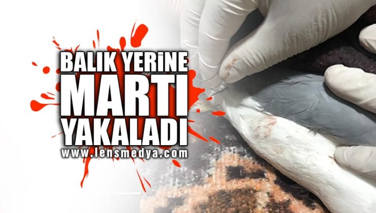 BALIK YERİNE MARTI YAKALADI!