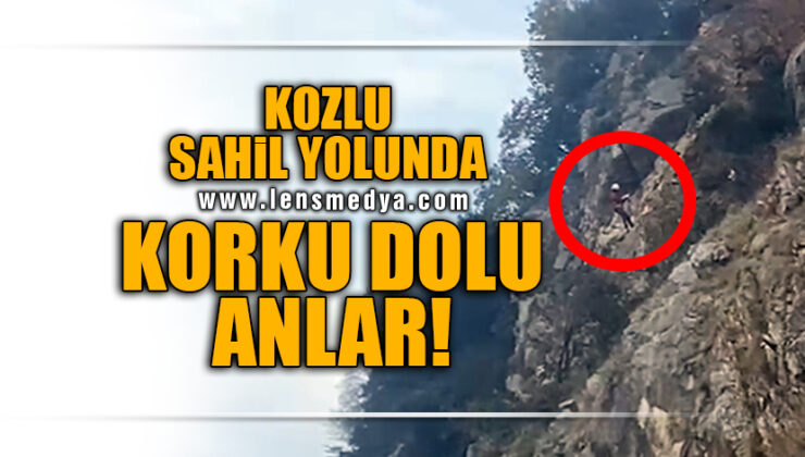 KOZLU SAHİL YOLUNDA KORKU DOLU ANLAR!