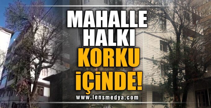 MAHALLE HALKI KORKU İÇİNDE!